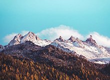 半岛体育入口-AG体育官方：点亮你的体育世界